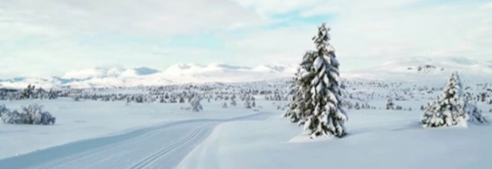 Gaurhovdrennet og Showrennet 2020